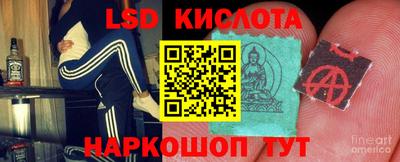 ECSTASY Гай