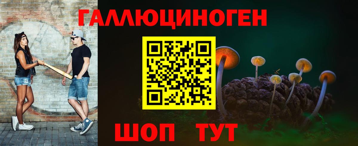 Псилоцибиновые грибы прущие грибы  Вход с VPN  Нальчик 